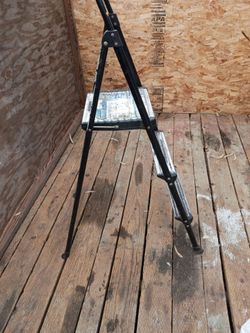 Cosco step stool