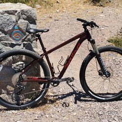 2017 Salsa Timberjack NX1 29er Mountain Bike