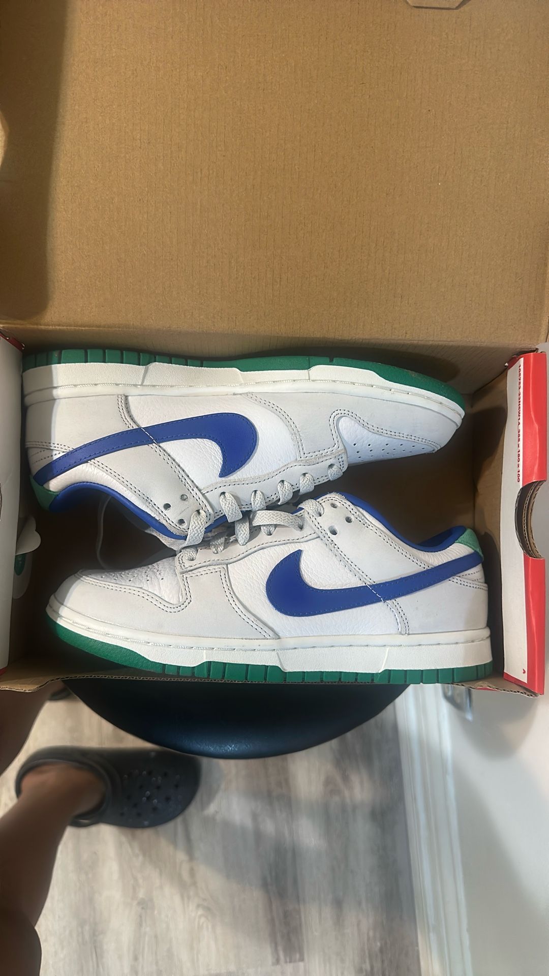 Nike Dunks