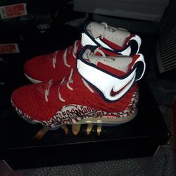 Lebron 17 Fp 
