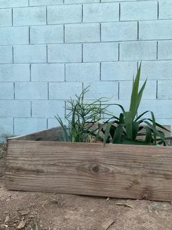 Garden items