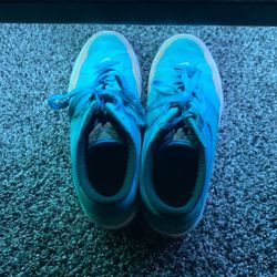 Nike Sb Zoom Pogo Plus Turquoise 