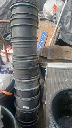 5 gal pots 1 dollars. Rach