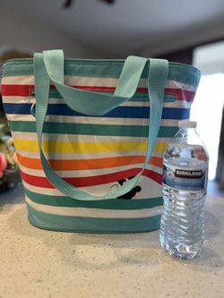 Insulated Cooler Bag, Picnic Bag/lunch Bag