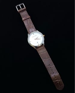 Wittnauer WN1020 Dark Brown Genuine Leather Stainless Steel Mens Watch