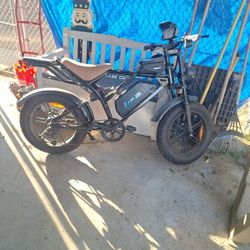 Electric Bike