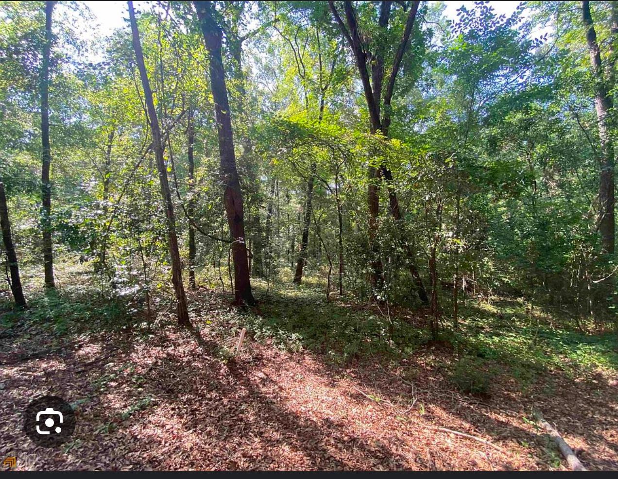 Land Forsale