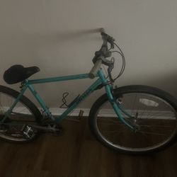 Univega ALPINA UNO  Bike 