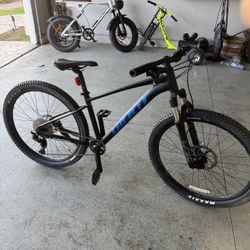 Giant Mountain Bike