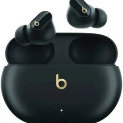Beats Earbuds