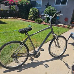 Specialized Expedition Bike XL