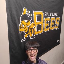 Salt Lake Bees Blanket 