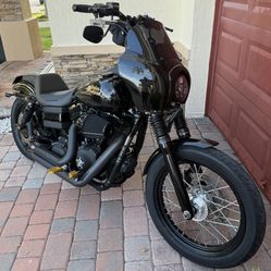 2010 Harley Davidson Street bob