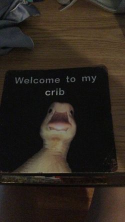 Welcome to my crib sign