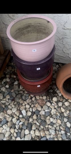 Succulents And Pots For Sale 