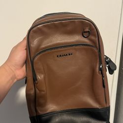 Coach Side Bag