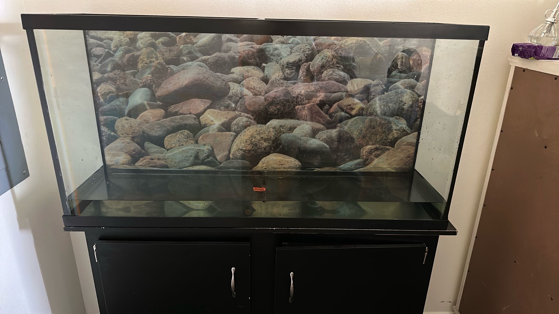 Fish Tank 