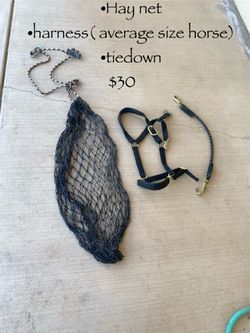 Horse tack  & other goodies