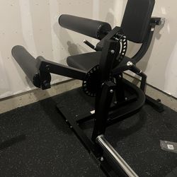 GMWD Leg Extension/leg Curl Plate Loaded 