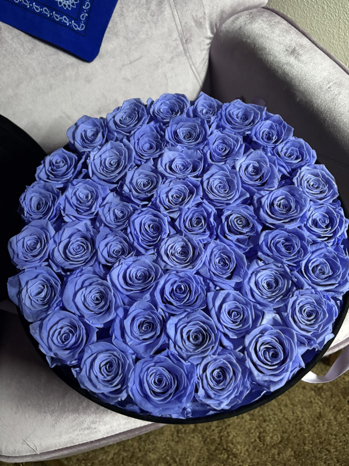 Forever Roses