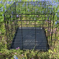 Medium Size Metal Kennel-FIRM