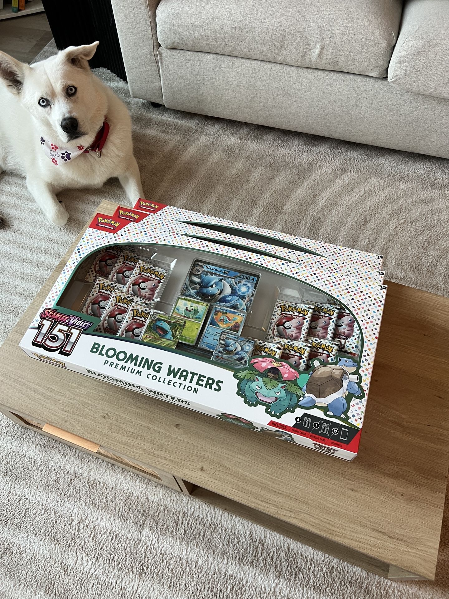 Blooming Waters 151 Premium Box