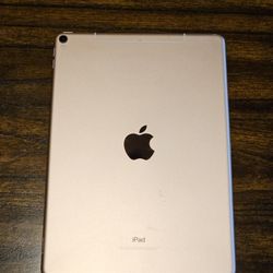 Ipad Pro 10.5" 256gb Cellular & Wifi