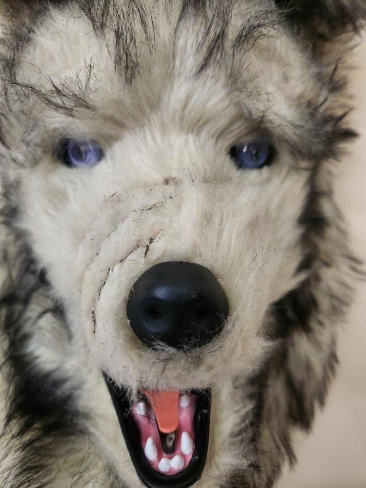 Halloween Wolf Mask Movable Mouth/Jaw Disney Jungle Book NWT - Máscara De Lobo Movimiento De Quijada