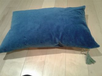 Crate and Barrel dawn decorative pillows