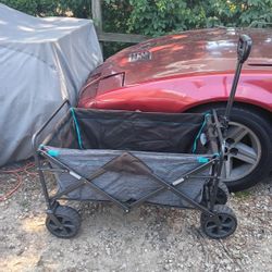 Folding Wagon 