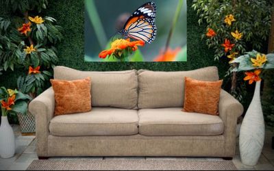 Free Delivery 🚚 Used Light Brown/Dark Tan Crate & Barrel Couch