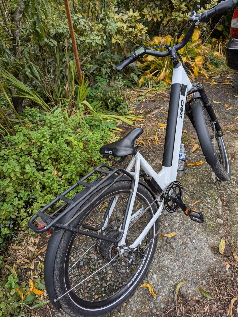Electric Bike