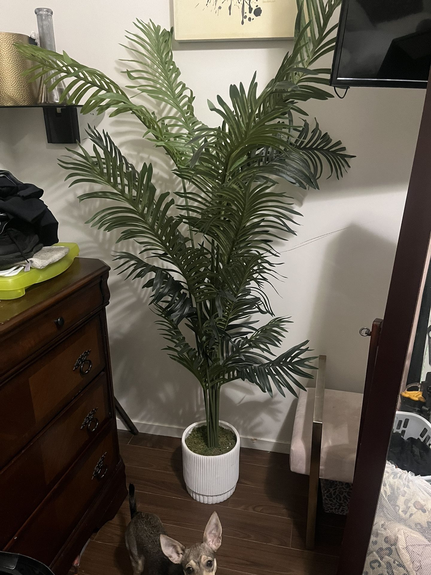 Fake Plant