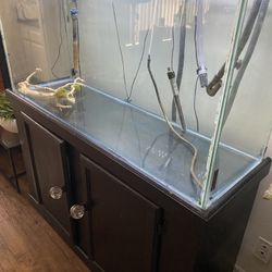 Fish Tank