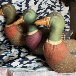 Mallard Ducks 