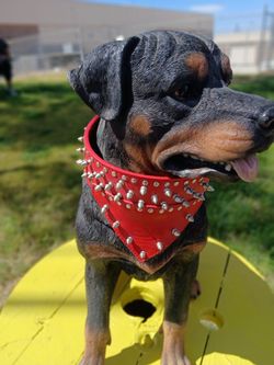Dog  products