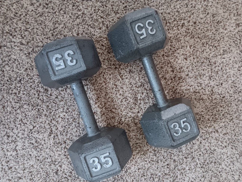 Dumbbells Weights Fitness