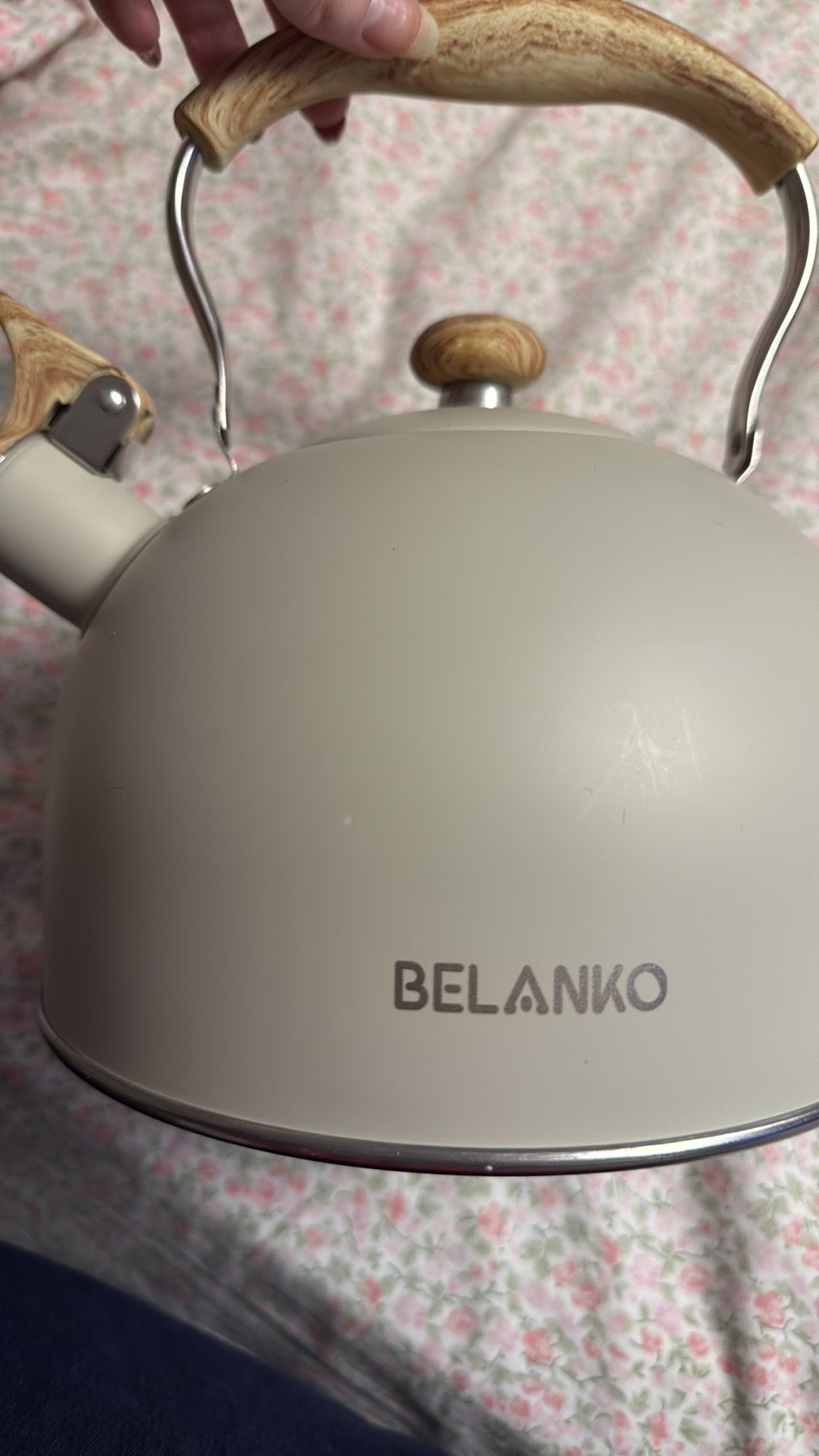 Tea Kettle