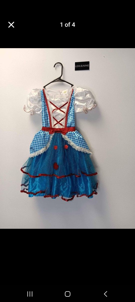 Wizard Of Oz Dorthy Halloween Costume For Sale 
