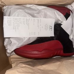 Jordan 12 Flu Game Sz 10 Ds
