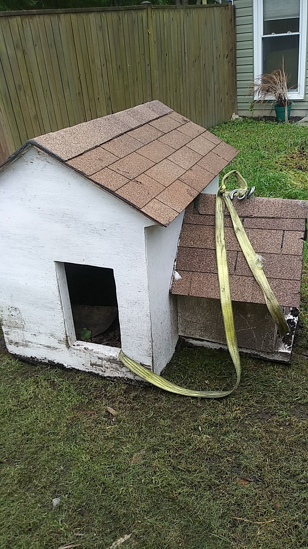 Dog House