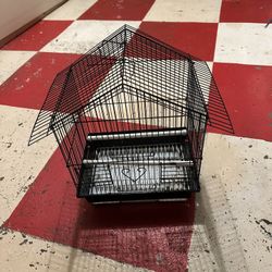 Bird Case