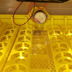 Egg Turner And Fan For Incubator 