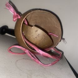 Gourd Ready To Go/ Guira Listo 