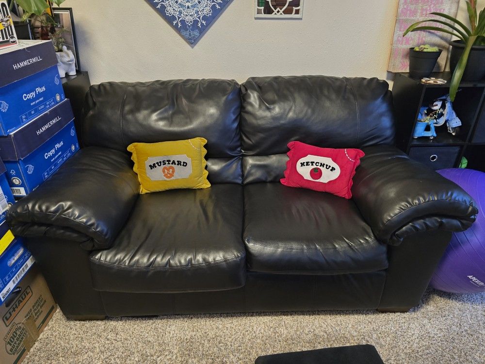 2 Person Leather Couch