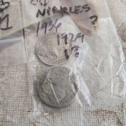 Buffalo Nickels