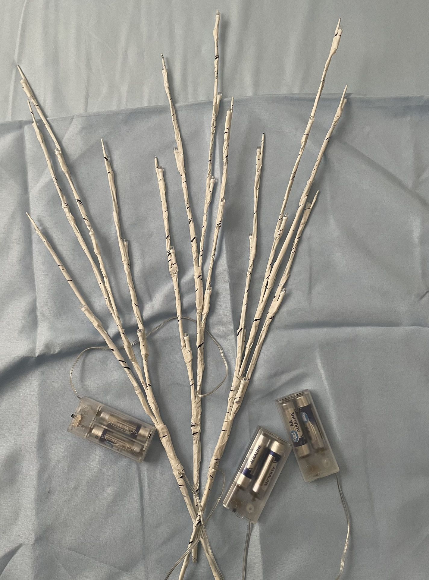 Christmas Light Branch