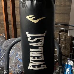Everlast Punching Bag With Whole Stand