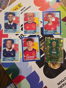 Panini cards