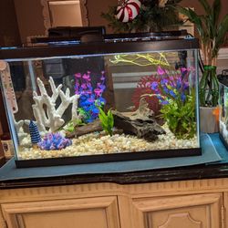 FISH TANK++